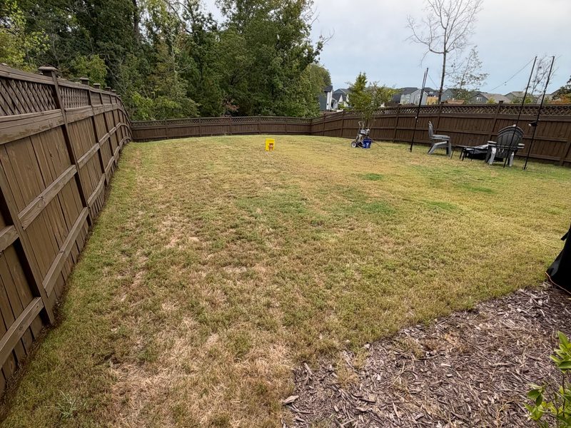 Fence Staining