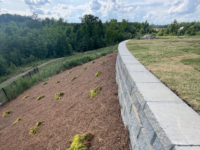 Hardscape